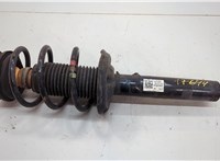  Амортизатор подвески Volkswagen Tiguan 2016-2020 20589973 #1