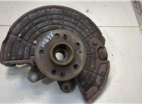  Ступица (кулак, цапфа) Mercedes ML W163 1997-2005 20589993 #1