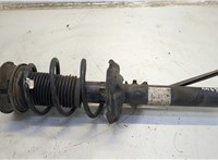  Амортизатор подвески Skoda Octavia (A7) 2013-2023 20590034 #1