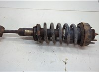 4L2418B036 Амортизатор подвески Ford Explorer 2001-2006 20590128 #1
