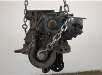  Блок цилиндров (Шорт блок) Renault Megane 2 2002-2009 20590213 #3