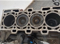  Блок цилиндров (Шорт блок) Renault Megane 2 2002-2009 20590213 #8