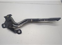  Петля капота Ford Mustang Mach-E 20589538 #2