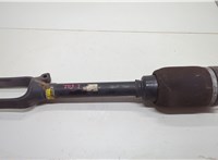  Амортизатор подвески Mercedes GL X164 2006-2012 20590450 #1
