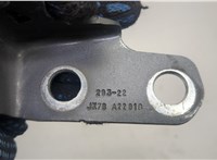 JX7BA22810 Петля двери Ford Mustang Mach-E 20590520 #4