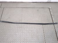  Распорка стоек Ford Mustang Mach-E 20590716 #1