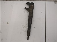 13537789661 Форсунка топливная BMW 5 E60 2003-2010 20591083 #1