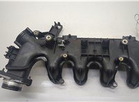  Коллектор впускной Citroen Berlingo 2008-2012 20591607 #1