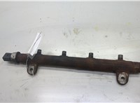  Рампа (рейка) топливная Land Rover Range Rover 3 (LM) 2002-2012 20591809 #4