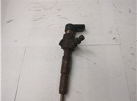 1355051 Форсунка топливная Ford Galaxy 2006-2010 20592423 #1