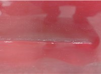  Стекло боковой двери Ford Explorer 2001-2006 11497117 #8