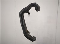  Патрубок интеркулера Volkswagen Golf 4 1997-2005 20593579 #1