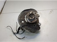  Ступица (кулак, цапфа) BMW 1 E87 2004-2011 20593589 #1