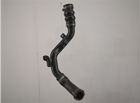  Патрубок интеркулера Ford Transit (Tourneo) Connect 2002-2013 20593624 #1