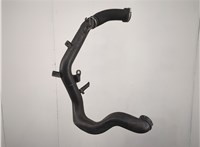  Патрубок корпуса воздушного фильтра Opel Astra H 2004-2010 20593727 #2