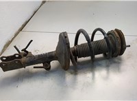 4852049565 Амортизатор подвески Lexus RX 2003-2009 20593940 #1