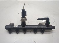  Рампа (рейка) топливная Citroen Jumper (Relay) 2014-2025 20594035 #1