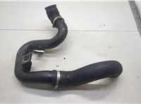  Патрубок интеркулера Citroen Jumper (Relay) 2014-2025 20594037 #1