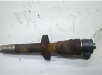 0445110265 Форсунка топливная Renault Master 1998-2010 20594206 #1