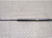  Амортизатор крышки багажника Toyota Sequoia 2000-2008 20594298 #1