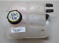  Бачок расширительный Ford C-Max 2002-2010 20594386 #1