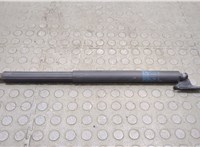  Амортизатор крышки багажника Mercedes GL X164 2006-2012 20594731 #1