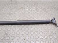  Амортизатор крышки багажника Mercedes GL X164 2006-2012 20594731 #2
