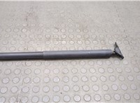  Амортизатор крышки багажника Mercedes GL X164 2006-2012 20594739 #1