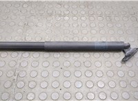  Амортизатор крышки багажника Mercedes GL X164 2006-2012 20594739 #2