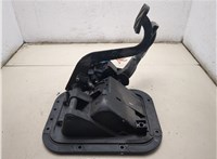 7482492421 Педаль газа Renault Premium DXI 2006-2013 11497817 #1