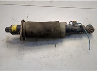  Амортизатор подвески Audi A6 (C5) Allroad 2000-2006 20594922 #1