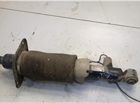  Амортизатор подвески Audi A6 (C5) Allroad 2000-2006 20594934 #1