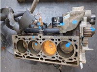  Блок цилиндров (Шорт блок) Renault Scenic 2003-2009 20595039 #1