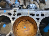  Блок цилиндров (Шорт блок) Renault Scenic 2003-2009 20595039 #5