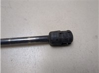  Амортизатор капота DAF CF 85 2001-2013 20595177 #3