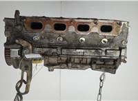  Головка блока (ГБЦ) Renault Scenic 2003-2009 20595207 #1
