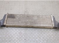  Радиатор интеркулера BMW X5 E53 2000-2006 20595469 #1