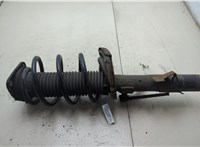 1681187, 1335386 Амортизатор подвески Ford Focus 2 2008-2011 20595511 #4