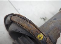 1681187, 1335386 Амортизатор подвески Ford Focus 2 2008-2011 20595511 #5