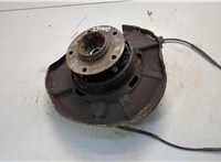33416752381 Ступица (кулак, цапфа) BMW 3 E90, E91, E92, E93 2005-2012 20595652 #1