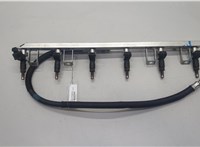 13537531634, 13537542541 Форсунка топливная BMW X5 E70 2006-2013 20595951 #1