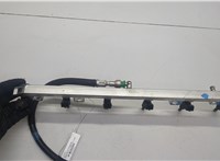 13537531634, 13537542541 Форсунка топливная BMW X5 E70 2006-2013 20595951 #2