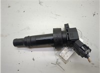 273012B100 Катушка зажигания Hyundai Tucson 3 2015-2021 20595996 #1
