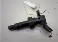 273012B100 Катушка зажигания Hyundai Tucson 3 2015-2021 20595998 #1