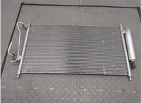  Радиатор кондиционера Nissan X-Trail (T30) 2001-2007 20596169 #1