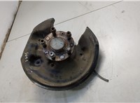 1T0598611B, 3C0505433K, 5N0615611C Ступица (кулак, цапфа) Volkswagen Passat CC 2012-2017 20596263 #1