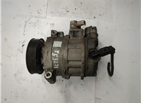  Компрессор кондиционера Audi A3 (8P) 2003-2013 20596288 #2