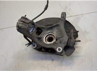 5Q0407621D, 5Q0407254C, 5Q0615312G Ступица (кулак, цапфа) Volkswagen Passat 8 2015- 20595319 #2