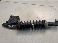 7421430898 Амортизатор кабины Renault T 2013-2022 20596734 #1