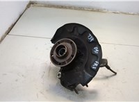 5Q0407621D, 5Q0407253C, 5Q0615311G Ступица (кулак, цапфа) Volkswagen Passat 8 2015- 20597368 #1
